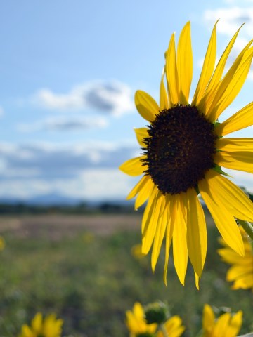 Parchi naturali